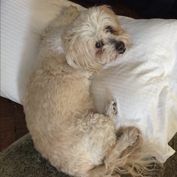 Meet your Posher, Debra - Picture 1 of 1